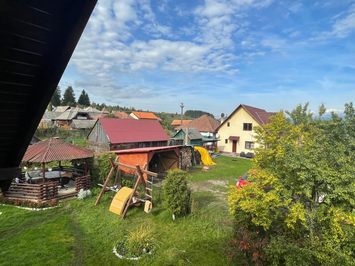 Гостевой дом Casa Helen Insurance&Tourism Galautas Экстерьер фото