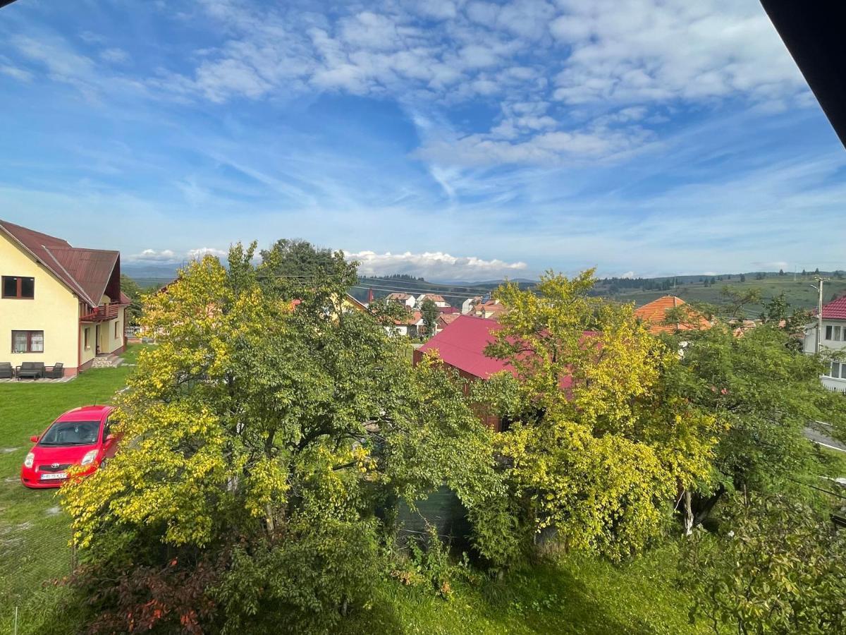 Гостевой дом Casa Helen Insurance&Tourism Galautas Экстерьер фото